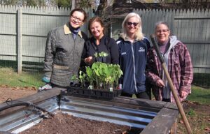 Four women standing behind a garden bed with young plants.