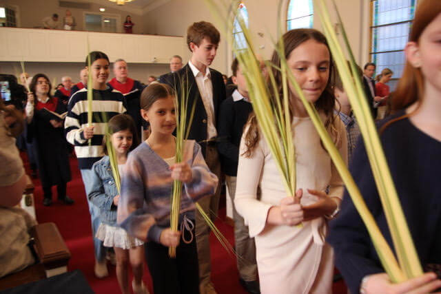 Palm Procession comp