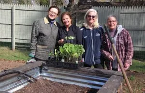 Four women standing behind a garden bed with young plants.